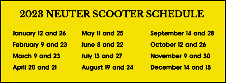 Spay/Neuter « Eastern Shore SPCA